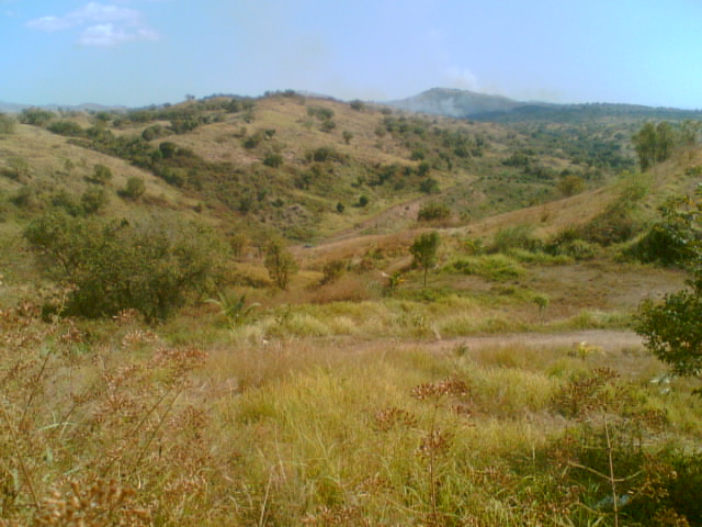 For sale Farmland, Palayan, Nueva Ecija, Philippines 