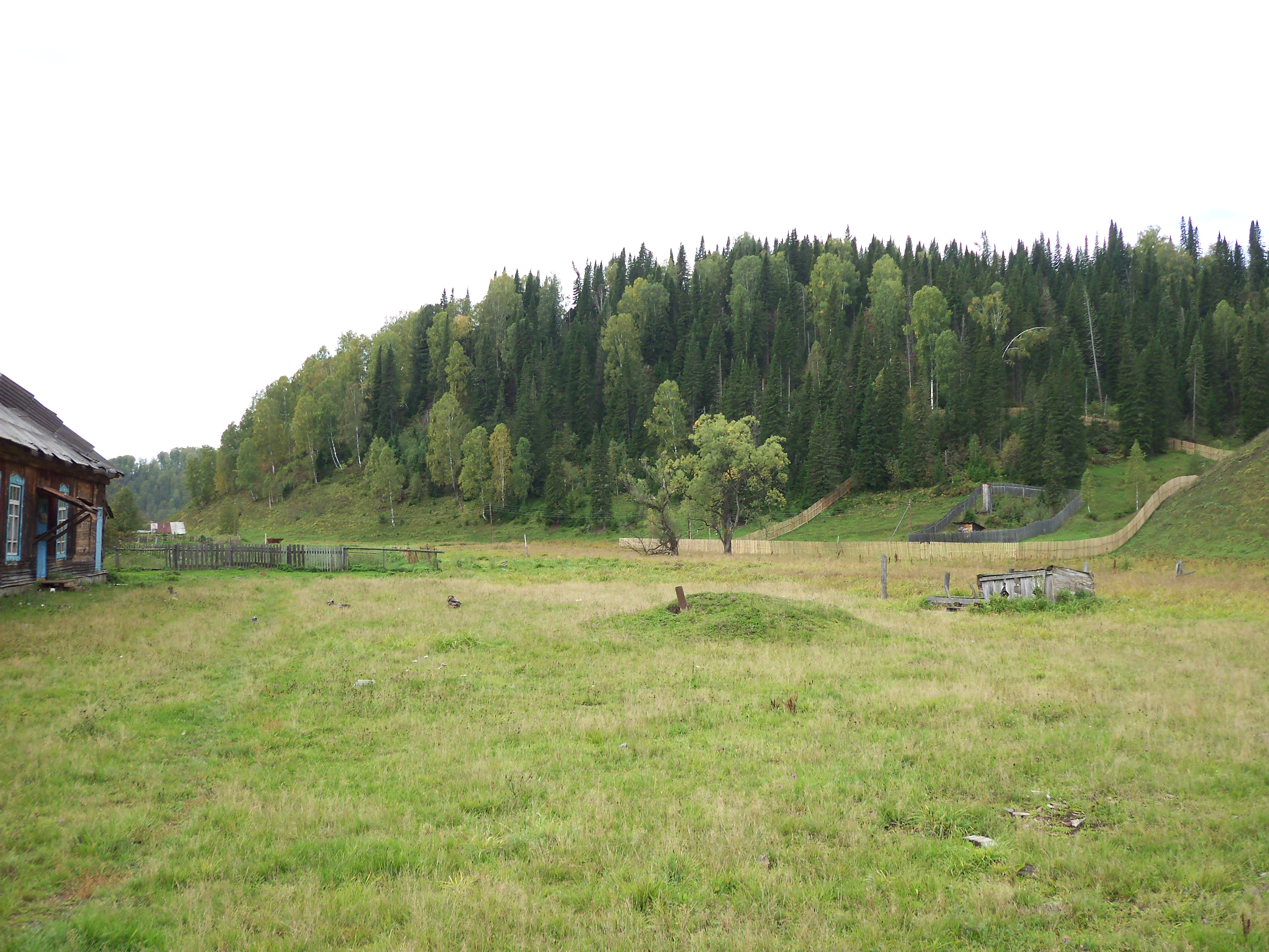 For sale Development Property, Choya, North Kazakhstan, Kazakhstan ...