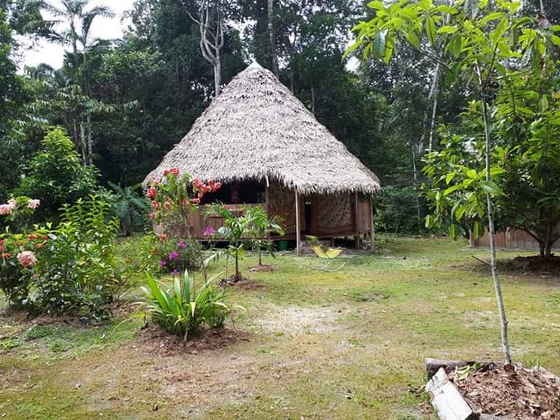 For sale Development Property, Iquitos, Destroyed, Peru, Varillal ...