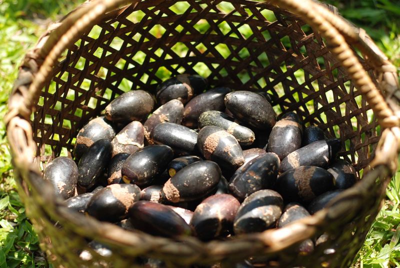 بيع ارض زراعية, Romblon, Mimaropa, الفلبين, San Andres, Agpudlos Tablas ...