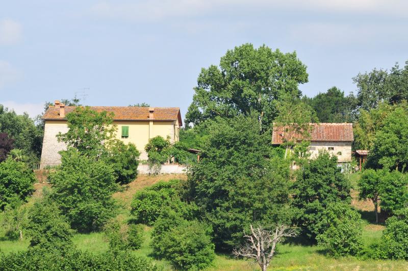 Vendita Rustico-casale, Vicchio, Firenze, Italia, via pilarciano