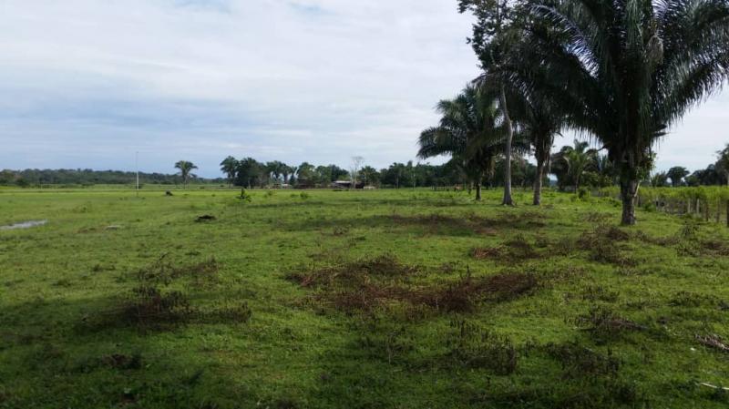 For sale Farmland, EZEQUIEL ZAMORA, Barinas, Venezuela, SANTA BARBARA ...