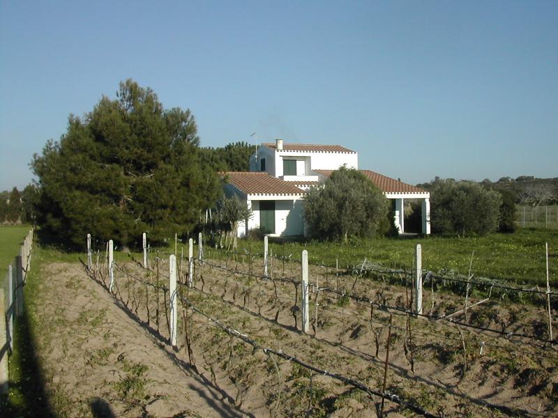 Vendita Casa indipendente, Calasetta, Carbonia Iglesias, Italia, Località Spiaggia Grande
