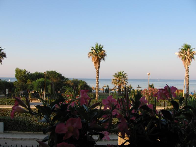 Vendita Hotel, Marina di Ragusa, Ragusa, Italia, lungomare andrea doria